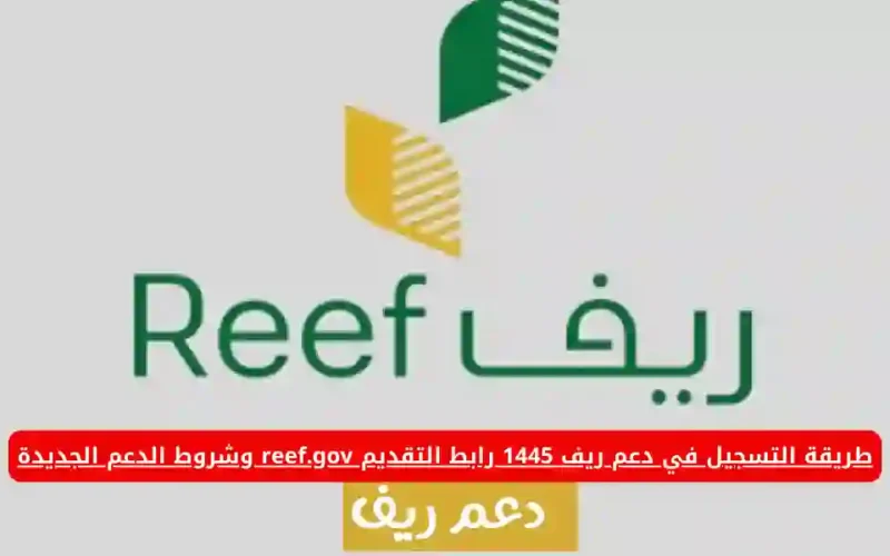 ما شروط دعم ريف الجديدة 1445 للمشاريع المدعومة وطريقة التسجيل عبر البوابة الرسمية reef.gov.sa