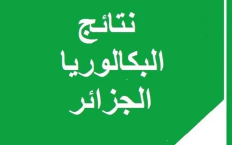نتائج البكالوريا 2025 في الجزائر.. رابط وخطوات الاستعلام الرسمية